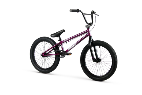 Black Eye - Recruit 20" BMX - GLOSS PURPLE